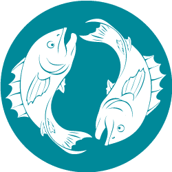 fiskens-tid_cirkel-turkis-gron_uddannelse